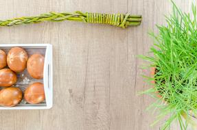 Beautiful and colorful Easter eggs in the basket, near the green plants, on the wooden surface
