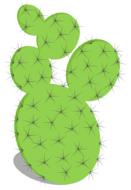 cactus prickly pear prickly green