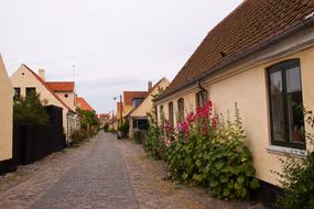 Village house flowers