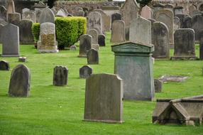 old tombstones on a green lawn in a cemetery