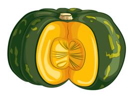green sliced pumpkin