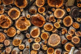 stack of firewood, Brown background