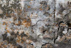 Texture Background Wall grey