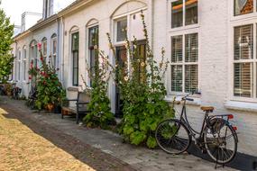 House and Bike and flowers