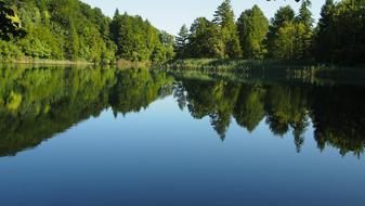 lake shrouded in woods