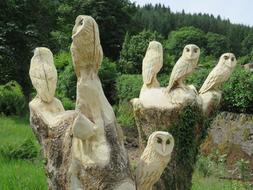 Carved Owls Wise Wood