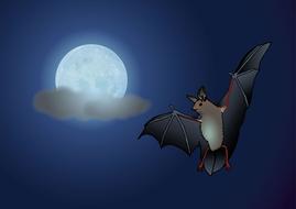 bat moon night