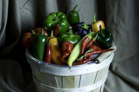 basket of fresh vegetables
