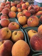 harvest of juicy sweet peaches