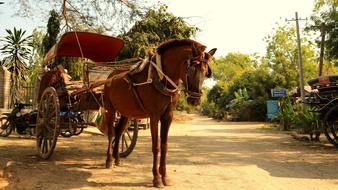 Carriage Retro