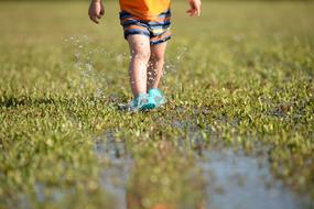 Child Splashing water grass