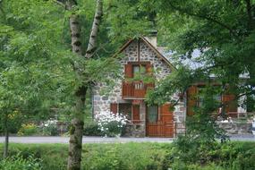 House on Field in forest