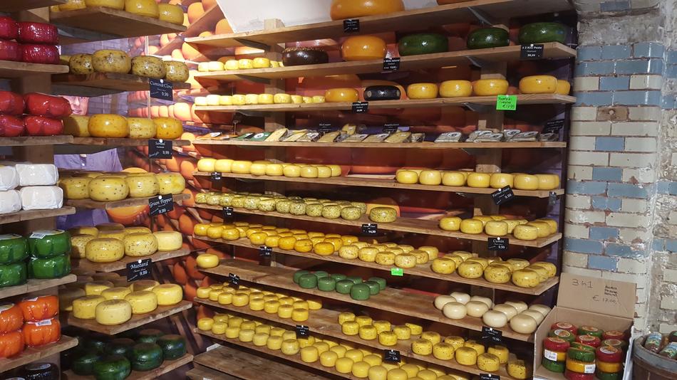 delicious cheeses on the shelf