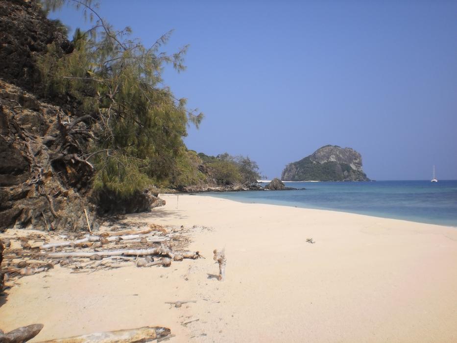 beach landscape with trees