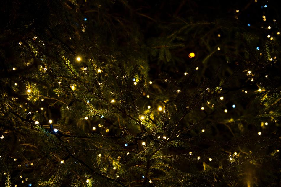 Christmas tree tree lights are beautiful