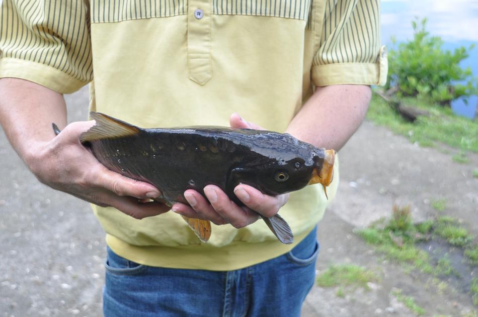 fish man catch