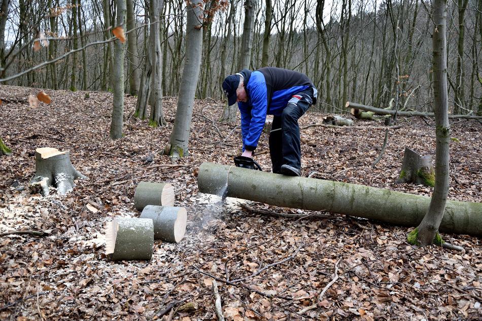 a man cuts a log in the foliage