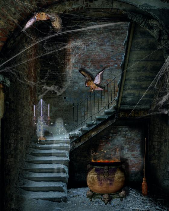 stone staircase house view