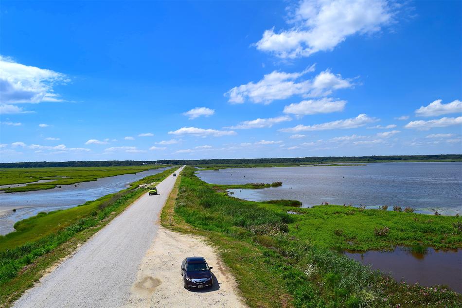 Marsh Roadway Water