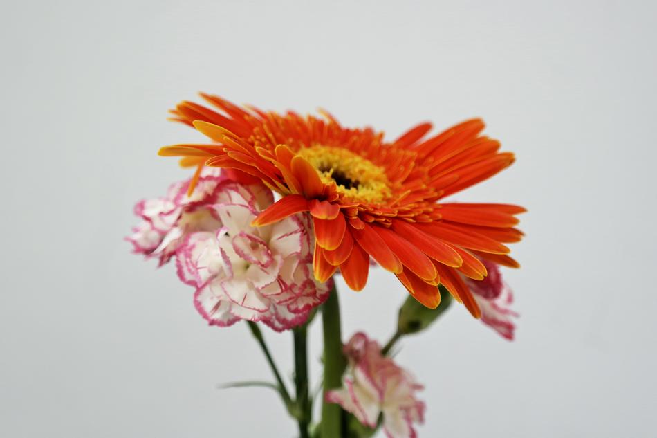 beautiful flowers in a vase at home