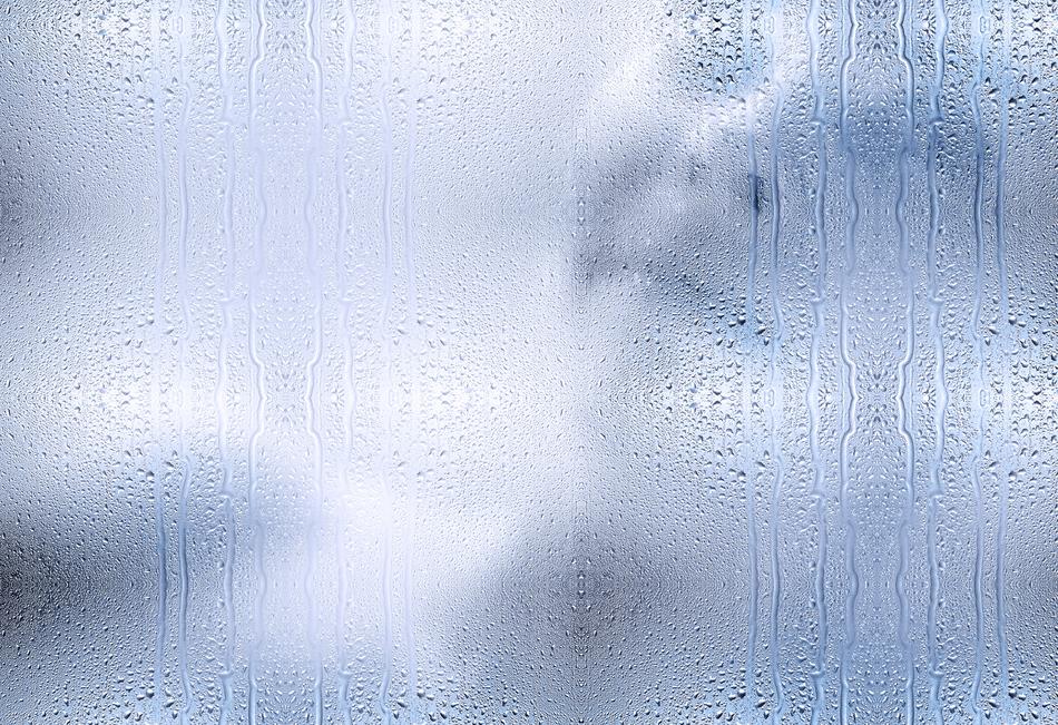 Woman Portrait Female