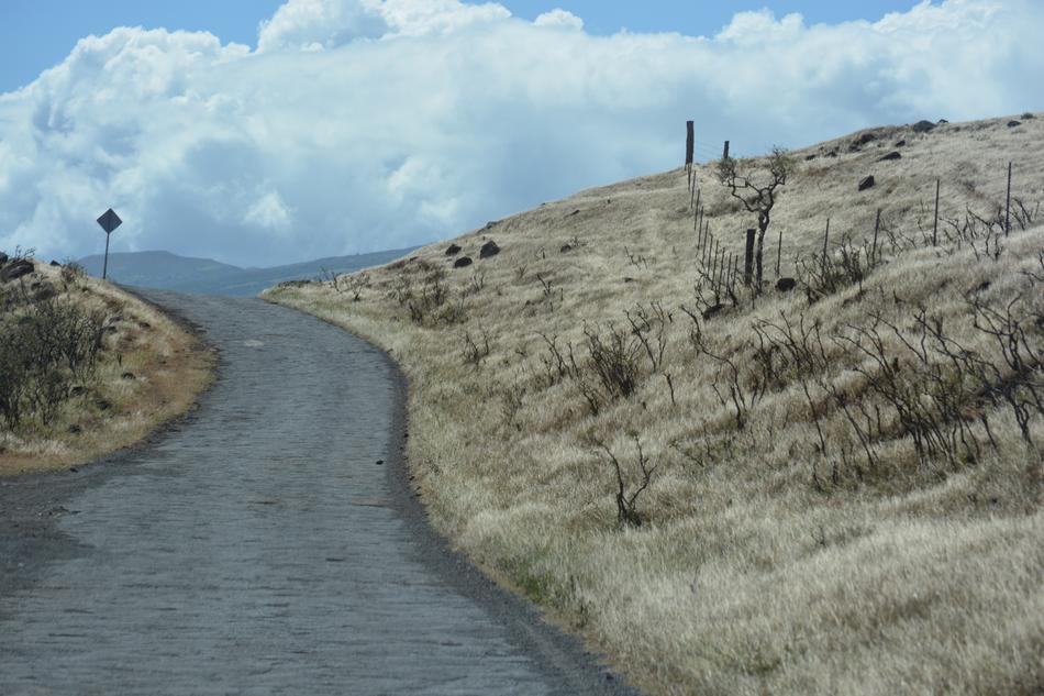 Road Hawaii Island