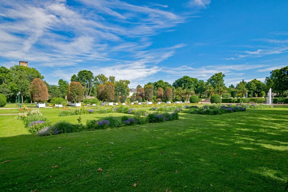 Orangery green grass
