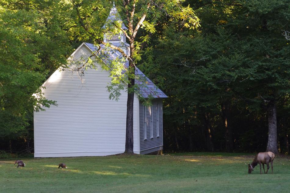 Church Elk Tourism