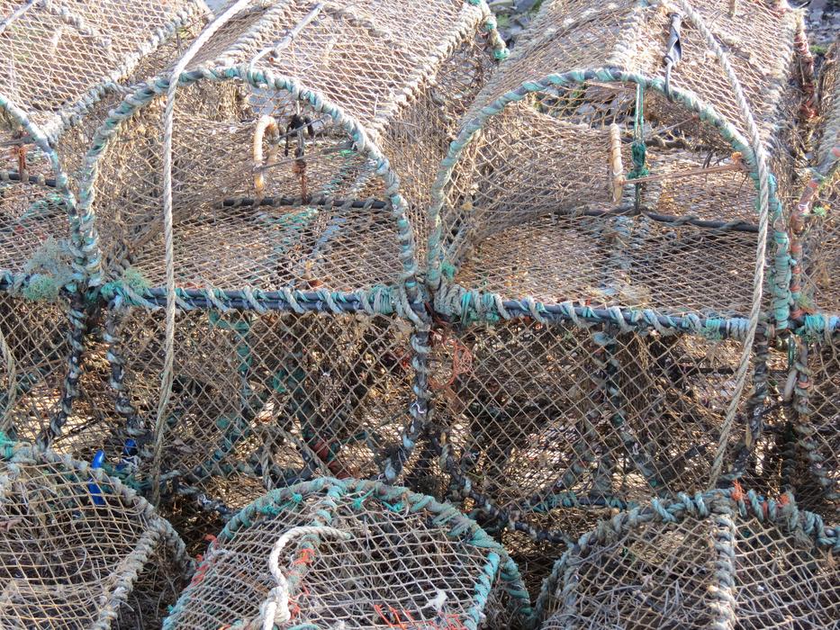 Lobster Basket Trap