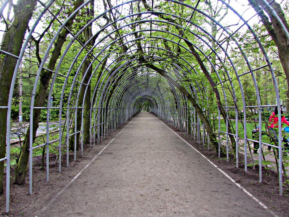 avenue of beautiful flowers and plants