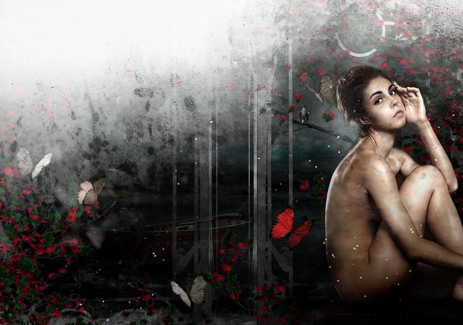 Woman Fantasy Butterflies