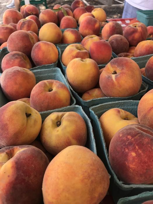 harvest of juicy sweet peaches