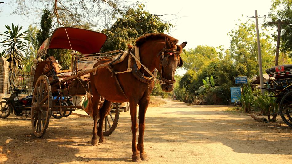 Carriage Retro