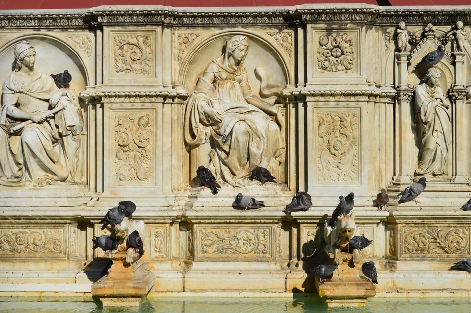Pigeons History Fountain