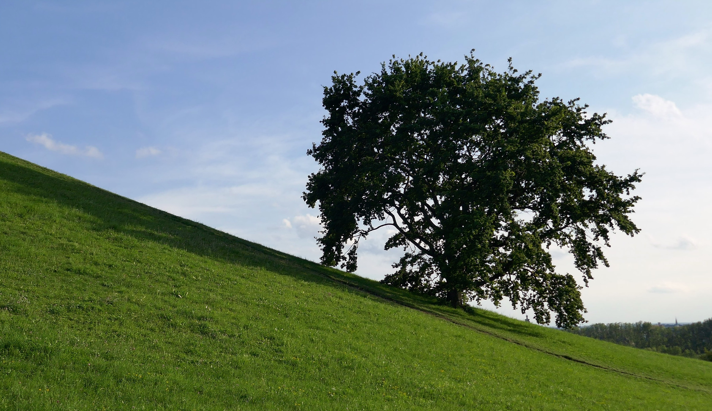 Tree Hill Slope free image download