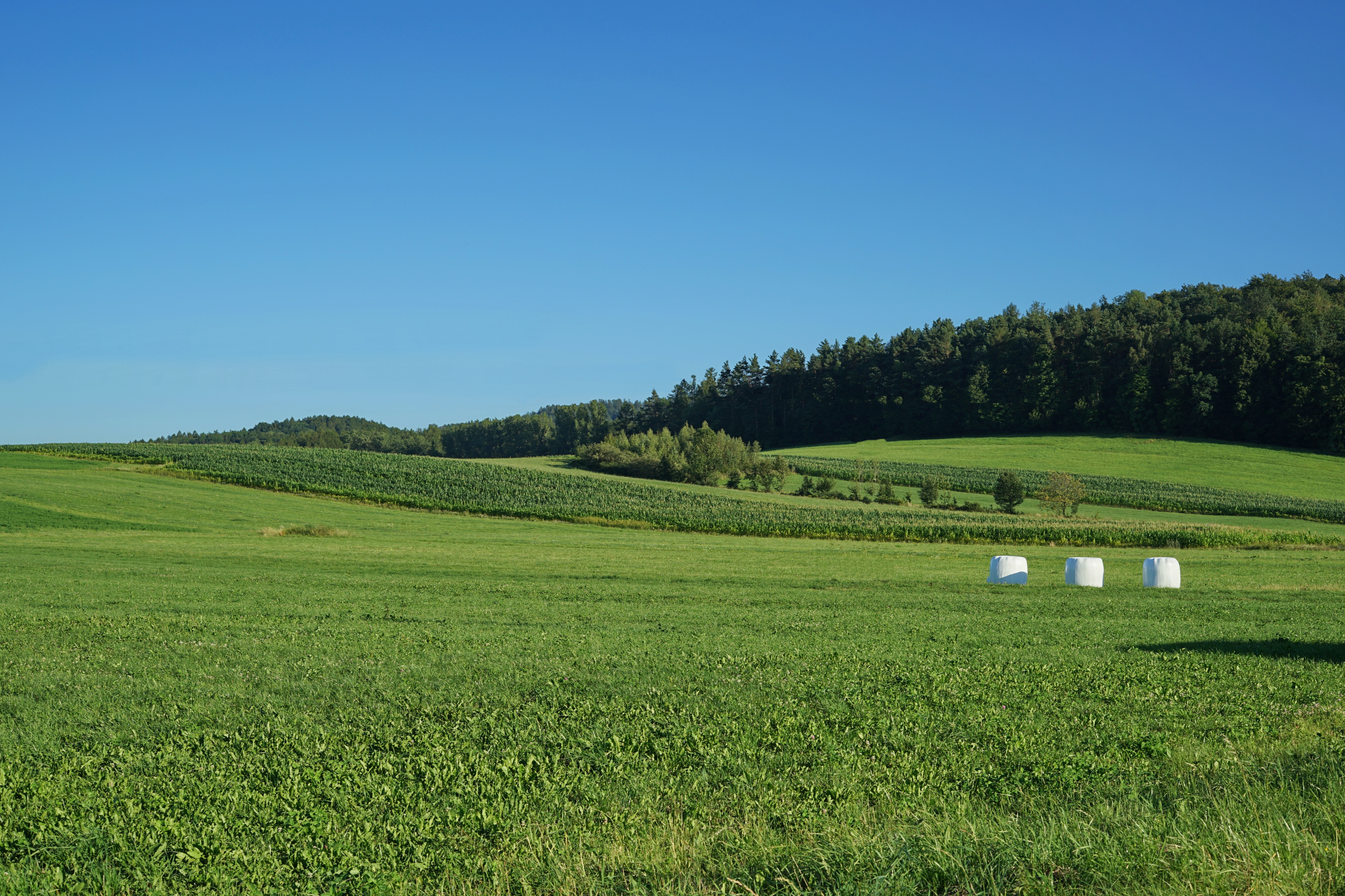 Поле завод. Завод на лугу. Фабрика и луг. Grassy Meadow. Meadow grass.