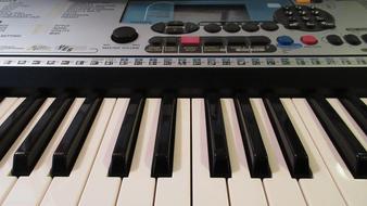 electronic Organ Keyboards