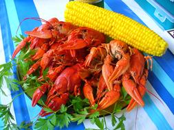 Boiled delicious crabs