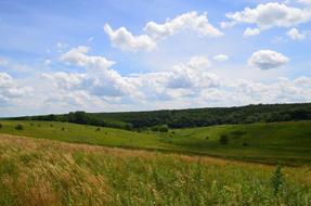 magnificent landscape in a field of grass