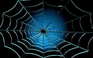 web cobweb nature case