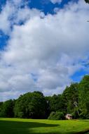 green Field white Sky Sunlight