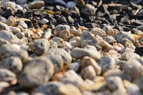 Close-up of the colorful and beautiful pebble stones on the ground