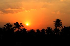 orange Sunset scene