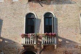 Window pink Flowers