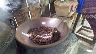 coffee bean preparation