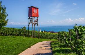 red tower in a vineyard on the shores of Lake Constance