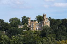 castle among green trees in Dresden