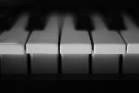 Piano Keys White black macro photo