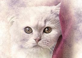 cat pet cute art abstract vintage