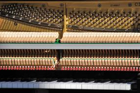 Piano, wood keys